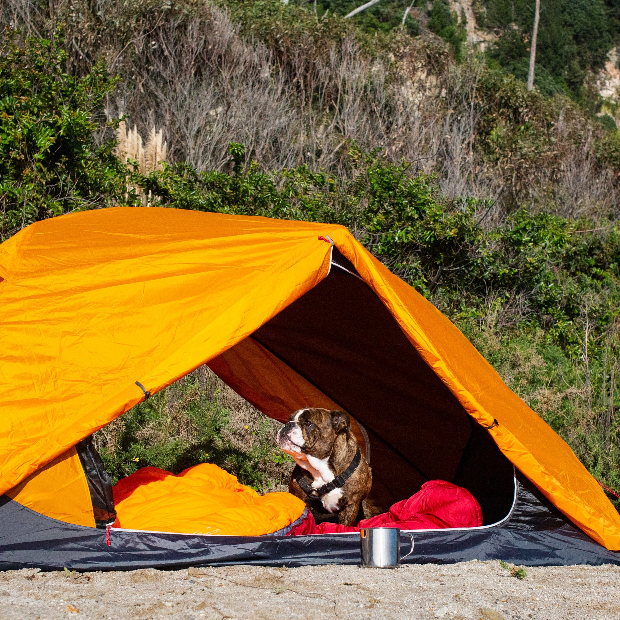 Zempire Zeus 2 Person Hiking Tent FREE STANDING DESIGN
